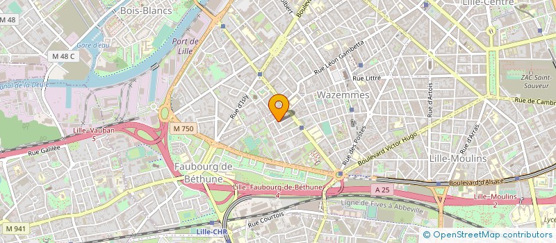 localisation de l'entreprise MADAME ALIZEE SEGARD à LILLE