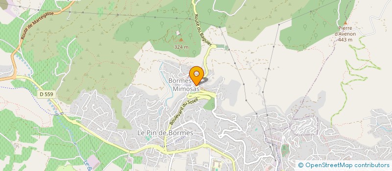 localisation de l'entreprise MADAME ALLISON DANTHONY  BORMES-LES-MIMOSAS