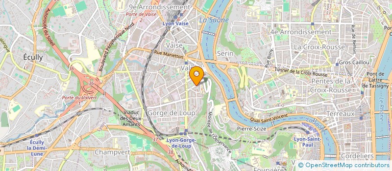 localisation de l'entreprise MADAME ALMA SALARZADEH AMIRI  LYON