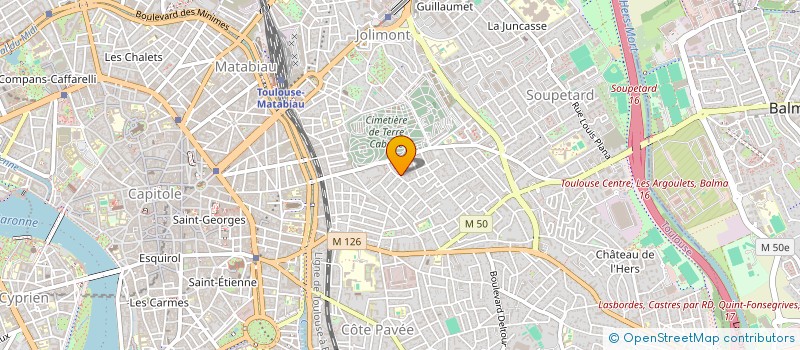 localisation de l'entreprise MADAME ALVINA PARIS à TOULOUSE