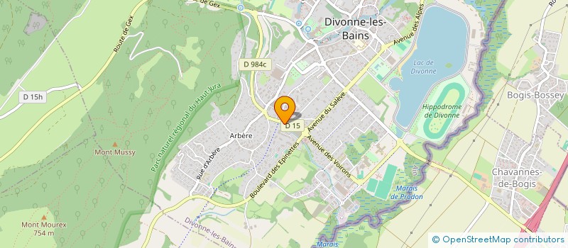 localisation de l'entreprise MADAME ALWINE OLSCHEWSKI à DIVONNE-LES-BAINS