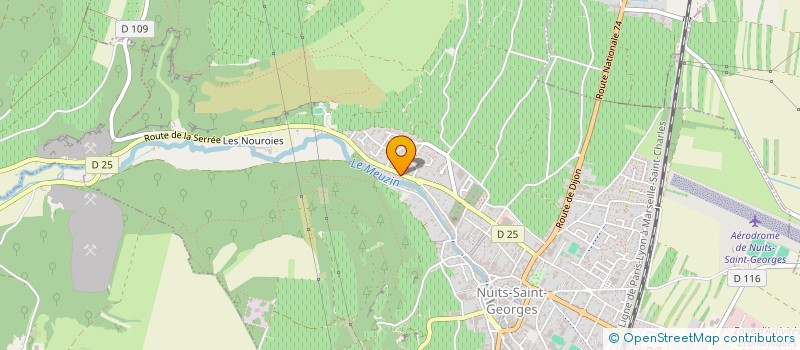 localisation de l'entreprise MADAME ALYCIA BOYEAUX  NUITS-SAINT-GEORGES