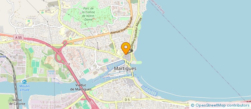 localisation de l'entreprise MADAME ALYSON SANTIAGO  MARTIGUES