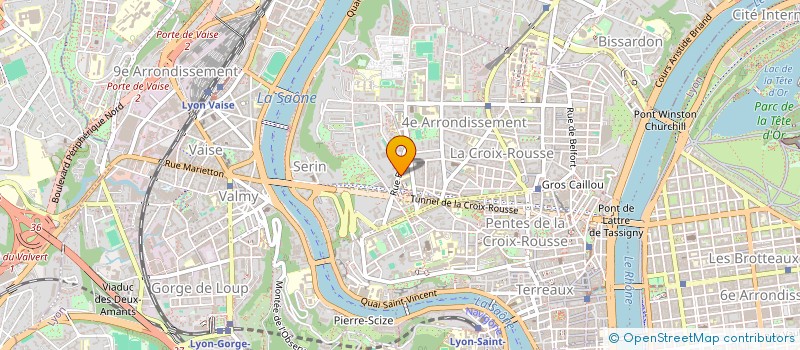 localisation de l'entreprise MADAME AMAELLE NDONGO NDONGO  LYON