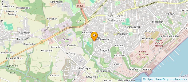 localisation de l'entreprise MADAME AMALIA FUENTES à BREST