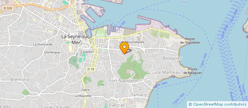 localisation de l'entreprise MADAME AMANDINE BAUMOHL  LA SEYNE-SUR-MER