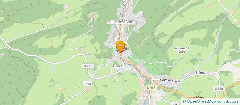 localisation de l'entreprise MADAME AMANDINE BOURGEOIS à SALINS-LES-BAINS