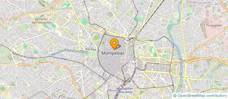 localisation de l'entreprise MADAME AMANDINE FATOUS à MONTPELLIER
