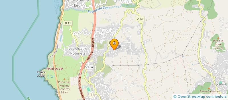 localisation de l'entreprise MADAME AMANDINE RIVIERE à SAINT-LEU
