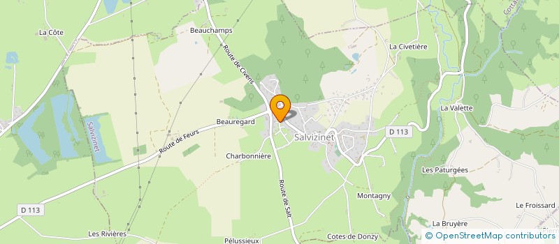 localisation de l'entreprise MADAME AMANDINE RUARD  SALVIZINET