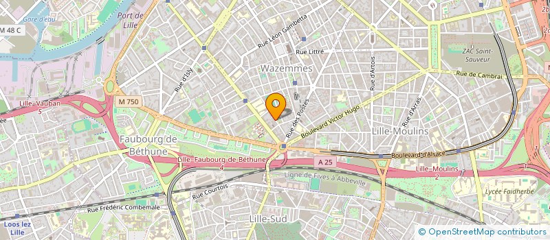 localisation de l'entreprise MADAME AMANDINE VANDROMME à LILLE