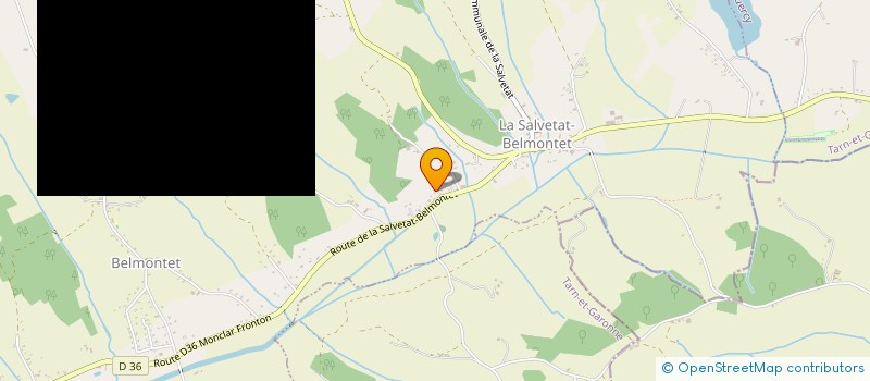 localisation de l'entreprise MADAME AMANDINE VINEL  MONTAUBAN