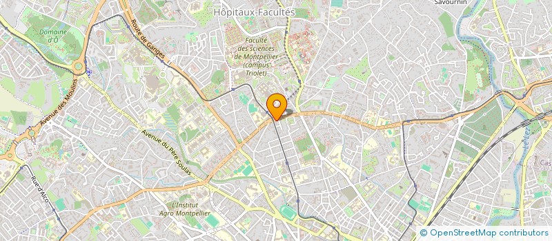 localisation de l'entreprise MADAME AMANDINE ZEVOLINO à MONTPELLIER