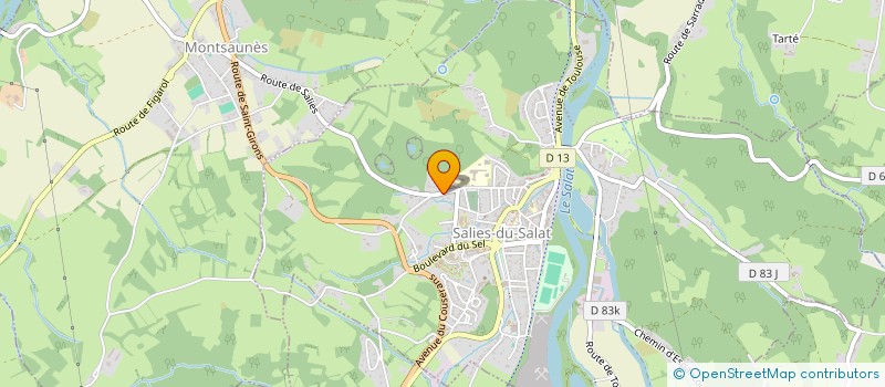 localisation de l'entreprise MADAME AMARYLLIS LARRIEU  SALIES-DU-SALAT