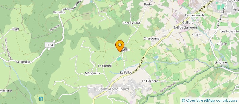 localisation de l'entreprise MADAME AMAYA CHAMPAILLER  SAINT-APPOLINARD