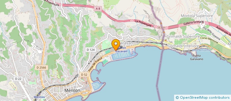 localisation de l'entreprise MADAME AMBRA PANNUZZO  MENTON