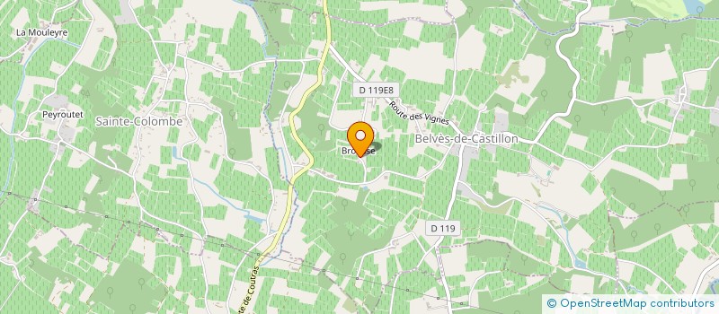 localisation de l'entreprise MADAME AMBRE BAKRI  BELVES-DE-CASTILLON