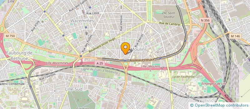 localisation de l'entreprise MADAME AMEL BEKKOUR  LILLE