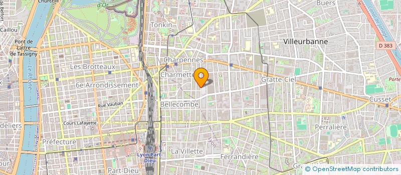 localisation de l'entreprise MADAME AMEL LEBOUKH  VILLEURBANNE