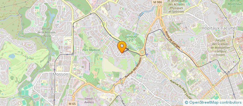 localisation de l'entreprise MADAME AMEL ZAMOUCHE à MONTPELLIER