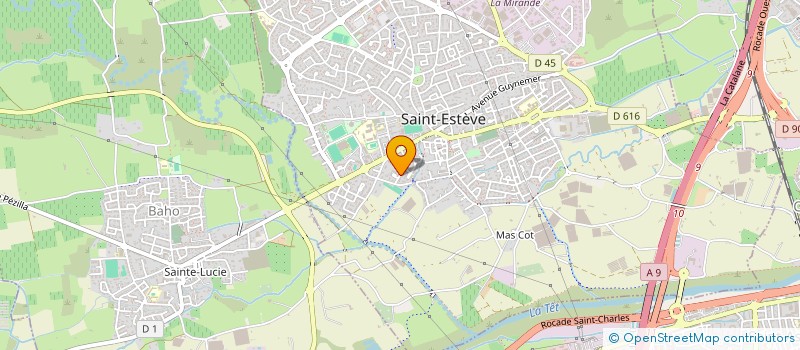 localisation de l'entreprise MADAME AMELIA BUISSON  SAINT-ESTEVE