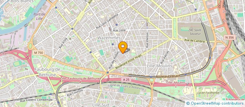 localisation de l'entreprise MADAME AMELIA BULABULA NEHEMA à LILLE