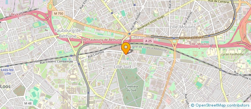 localisation de l'entreprise MADAME AMELIA SADOUD  LILLE