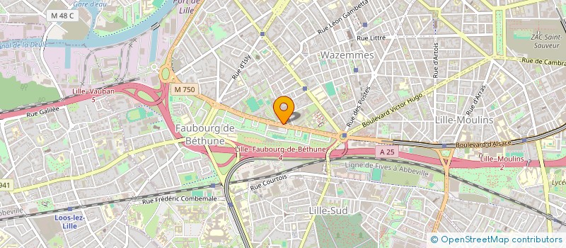 localisation de l'entreprise MADAME AMELIE BRAHIMI à LILLE