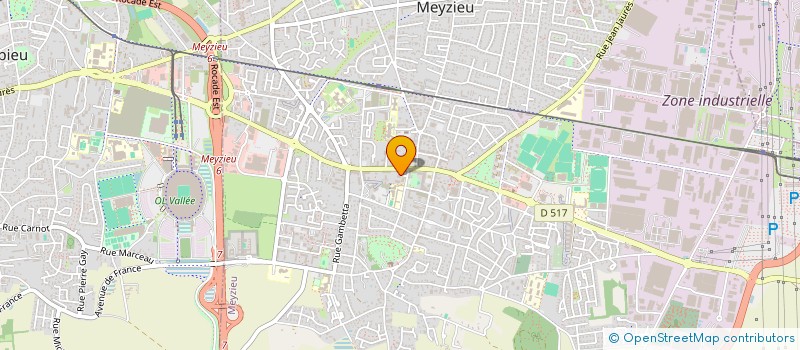 localisation de l'entreprise MADAME AMELIE BRICO  MEYZIEU