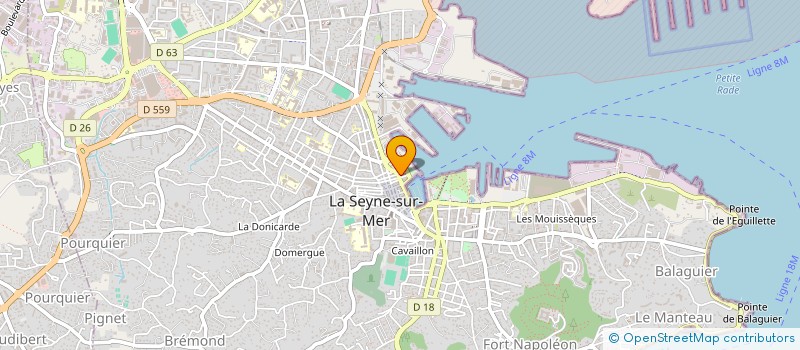 localisation de l'entreprise MADAME AMELIE CLERBOUT à LA SEYNE-SUR-MER