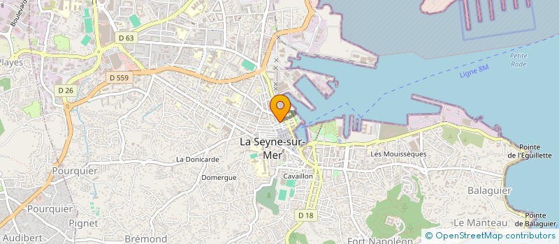 localisation de l'entreprise MADAME AMELIE FREGUGLIA à LA SEYNE-SUR-MER