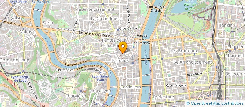 localisation de l'entreprise MADAME AMELIE GUESNET à LYON