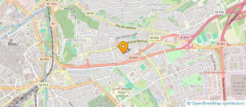 localisation de l'entreprise MADAME AMELIE MICHAUDET  METZ