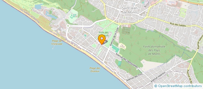 localisation de l'entreprise MADAME AMELIE RAFFIN  SAINT-JEAN-DE-MONTS