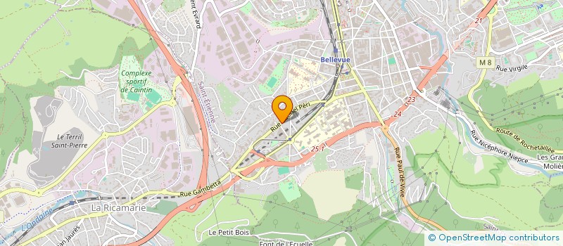 localisation de l'entreprise MADAME AMELIE RAO  SAINT-ETIENNE