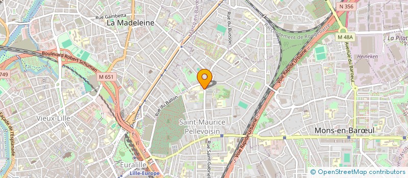 localisation de l'entreprise MADAME AMELIE RYNDAK à LILLE