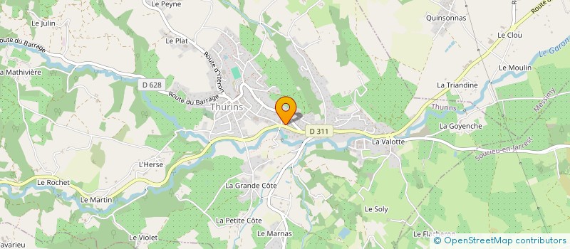 localisation de l'entreprise MADAME AMELIE THEBERT  THURINS