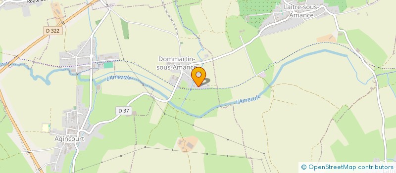 localisation de l'entreprise MADAME AMELIE TROMPETTE  DOMMARTIN-SOUS-AMANCE