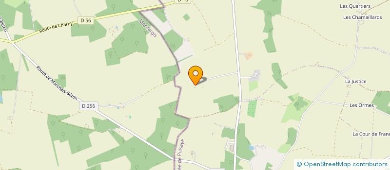 localisation de l'entreprise MADAME AMELINE POISSON  CHARNY OREE DE PUISAYE
