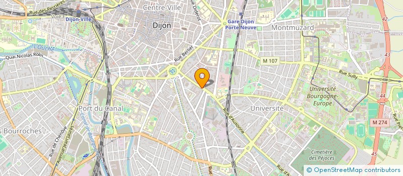 localisation de l'entreprise MADAME AMELLE ZOURKANE  DIJON