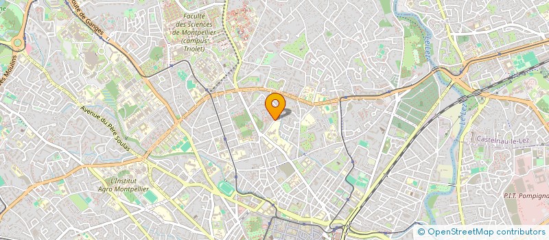 localisation de l'entreprise MADAME AMETISTE KIEMDE à MONTPELLIER