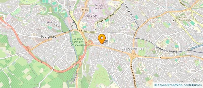 localisation de l'entreprise MADAME AMINA BOUHASSOUN à MONTPELLIER