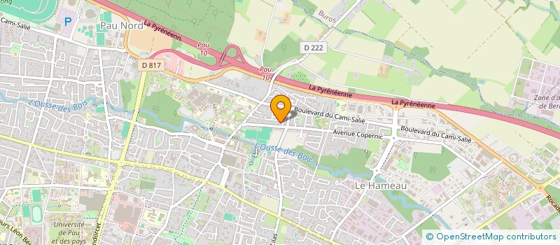 localisation de l'entreprise MADAME AMINA HENDAOUI à PAU