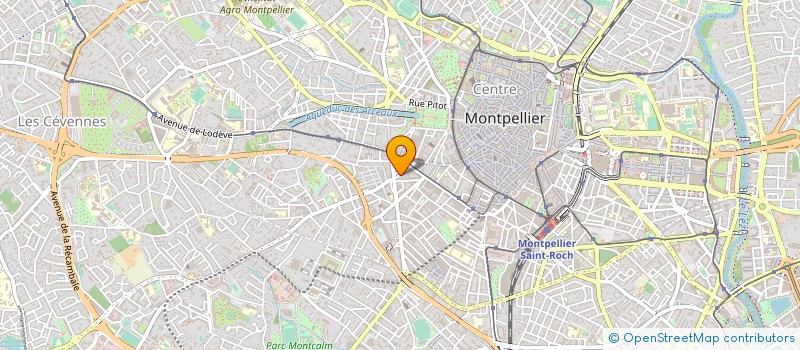 localisation de l'entreprise MADAME AMINATA COULIBALY à MONTPELLIER
