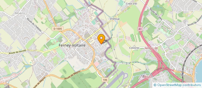 localisation de l'entreprise MADAME AMINATA NDAW à FERNEY-VOLTAIRE