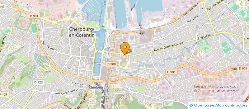 localisation de l'entreprise MADAME ANA-MARIA BORZA  CHERBOURG-EN-COTENTIN