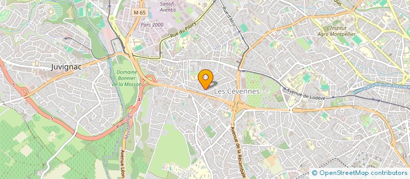localisation de l'entreprise MADAME ANA MARIA HERTA à MONTPELLIER