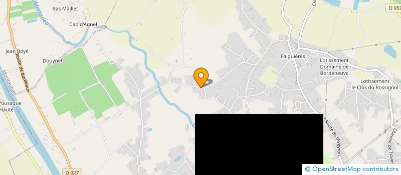 localisation de l'entreprise MADAME ANA-MARIA YUYNEA  MONTAUBAN