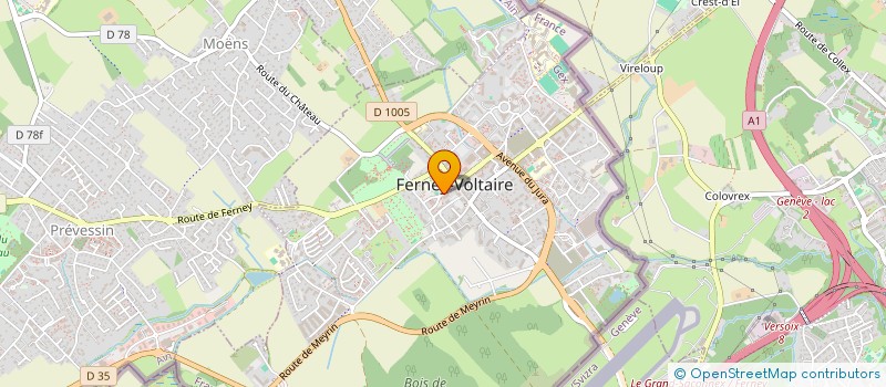 localisation de l'entreprise MADAME ANA MIRRA FERREIRA SOUSA à FERNEY-VOLTAIRE
