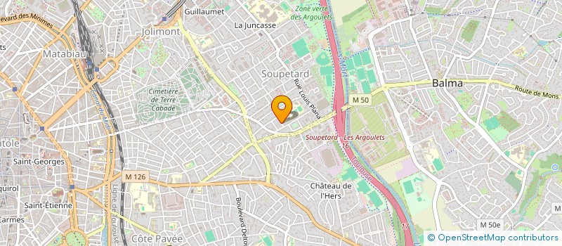 localisation de l'entreprise MADAME ANA OCHOA TORRES  TOULOUSE